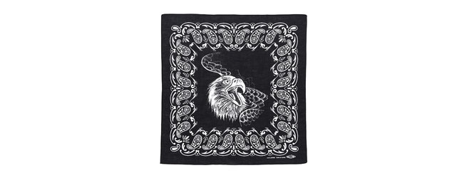 eaglehead_bandana.jpg